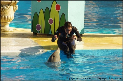 Marineland - Dauphins - Spectacle 14h30 - 056