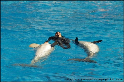 Marineland - Dauphins - Spectacle 14h30 - 058