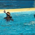 Marineland - Dauphins - Spectacle 14h30 - 060