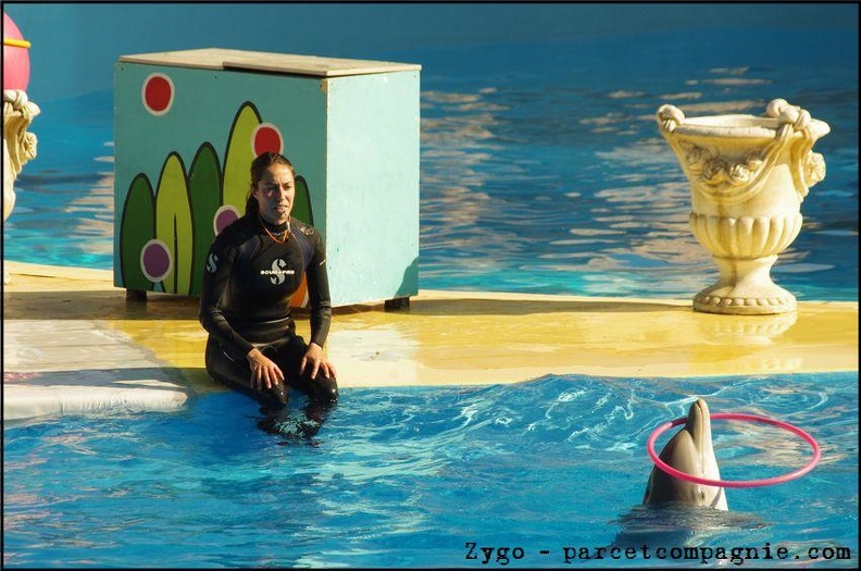 Marineland - Dauphins - Spectacle 14h30 - 064