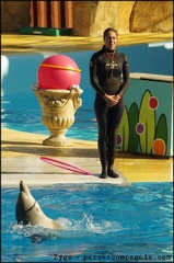 Marineland - Dauphins - Spectacle 14h30 - 066