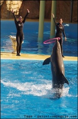 Marineland - Dauphins - Spectacle 14h30 - 068