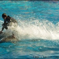 Marineland - Dauphins - Spectacle 14h30 - 070