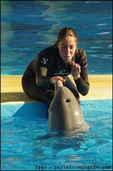 Marineland - Dauphins - Spectacle 14h30 - 074