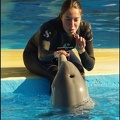 Marineland - Dauphins - Spectacle 14h30 - 074