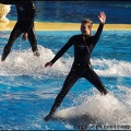 Marineland - Dauphins - Spectacle 14h30 - 076