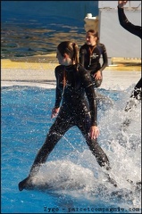 Marineland - Dauphins - Spectacle 14h30 - 077