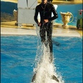 Marineland - Dauphins - Spectacle 14h30 - 079