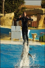 Marineland - Dauphins - Spectacle 14h30 - 080