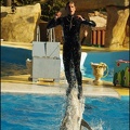 Marineland - Dauphins - Spectacle 14h30 - 080