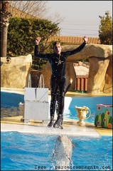 Marineland - Dauphins - Spectacle 14h30 - 081