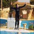 Marineland - Dauphins - Spectacle 14h30 - 081