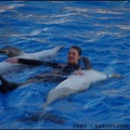 Marineland - Dauphins - Spectacle 17h00 - 085