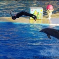 Marineland - Dauphins - Spectacle 17h00 - 096