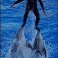 Marineland - Dauphins - Spectacle 17h00 - 104