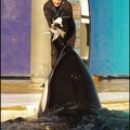Marineland - Orques - Spectacle 15h30 - 123