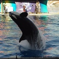 Marineland - Orques - Spectacle 15h30 - 124