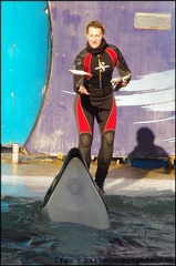 Marineland - Orques - Spectacle 15h30 - 131