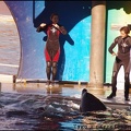Marineland - Orques - Spectacle 15h30 - 132
