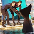 Marineland - Orques - Spectacle 15h30 - 135