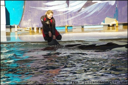 Marineland - Orques - Spectacle 15h30 - 137