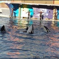Marineland - Orques - Spectacle 15h30 - 140