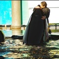 Marineland - Orques - Spectacle 15h30 - 142