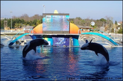 Marineland - Orques - Spectacle 15h30 - 147