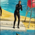 Marineland - Dauphins - Spectacle 14h30 - 020