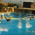Marineland - Dauphins - Spectacle 14h30 - 022