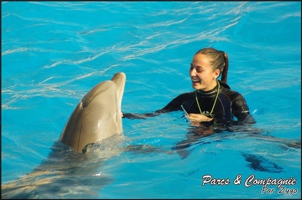 Marineland - Dauphins - Spectacle 14h30 - 023