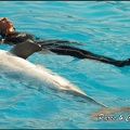 Marineland - Dauphins - Spectacle 14h30 - 024