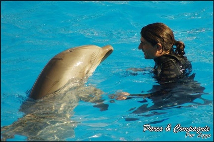 Marineland - Dauphins - Spectacle 14h30 - 030