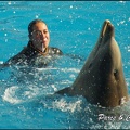 Marineland - Dauphins - Spectacle 14h30 - 035