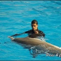 Marineland - Dauphins - Spectacle 14h30 - 036