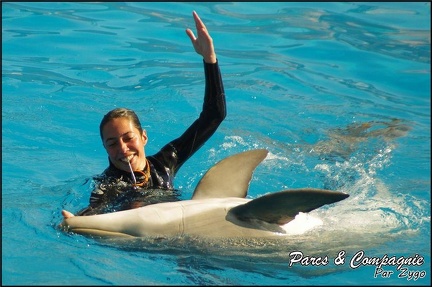 Marineland - Dauphins - Spectacle 14h30 - 038