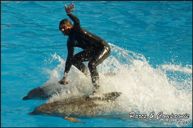 Marineland - Dauphins - Spectacle 14h30 - 043