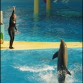 Marineland - Dauphins - Spectacle 14h30 - 054