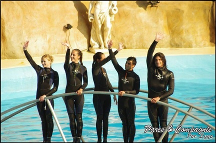 Marineland - Dauphins - Spectacle 14h30 - 057