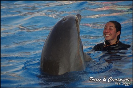 Marineland - Dauphins - Spectacle 17h00 - 066