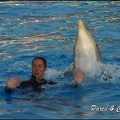 Marineland - Dauphins - Spectacle 17h00 - 069