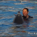 Marineland - Dauphins - Spectacle 17h00 - 070