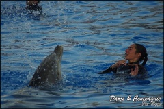 Marineland - Dauphins - Spectacle 17h00 - 082