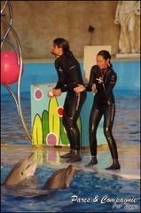 Marineland - Dauphins - Spectacle 17h00 - 091