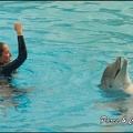 Marineland - Dauphins - Spectacle 14h30 - 047