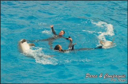 Marineland - Dauphins - Spectacle 14h30 - 049