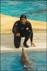 Marineland - Dauphins - Spectacle 14h30 - 050