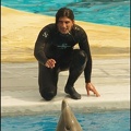 Marineland - Dauphins - Spectacle 14h30 - 050