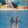 Marineland - Dauphins - Spectacle 14h30 - 062