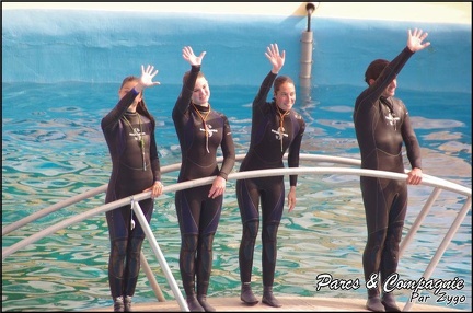 Marineland - Dauphins - Spectacle 14h30 - 066